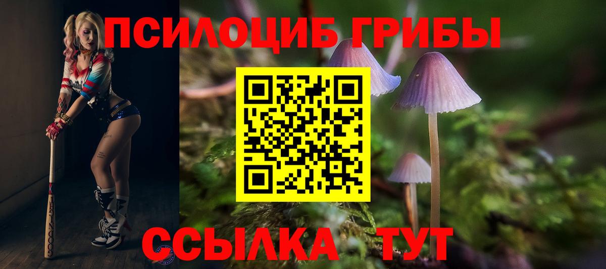 Бузулук  Псилоцибиновые грибы мицелий  Галлюциногенные грибы GOLDEN TEACHER  Вход с VPN 